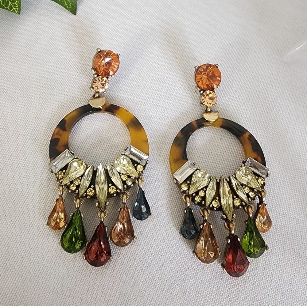 Acrylic Tortoise with Multi Color Stones Drop Earrings